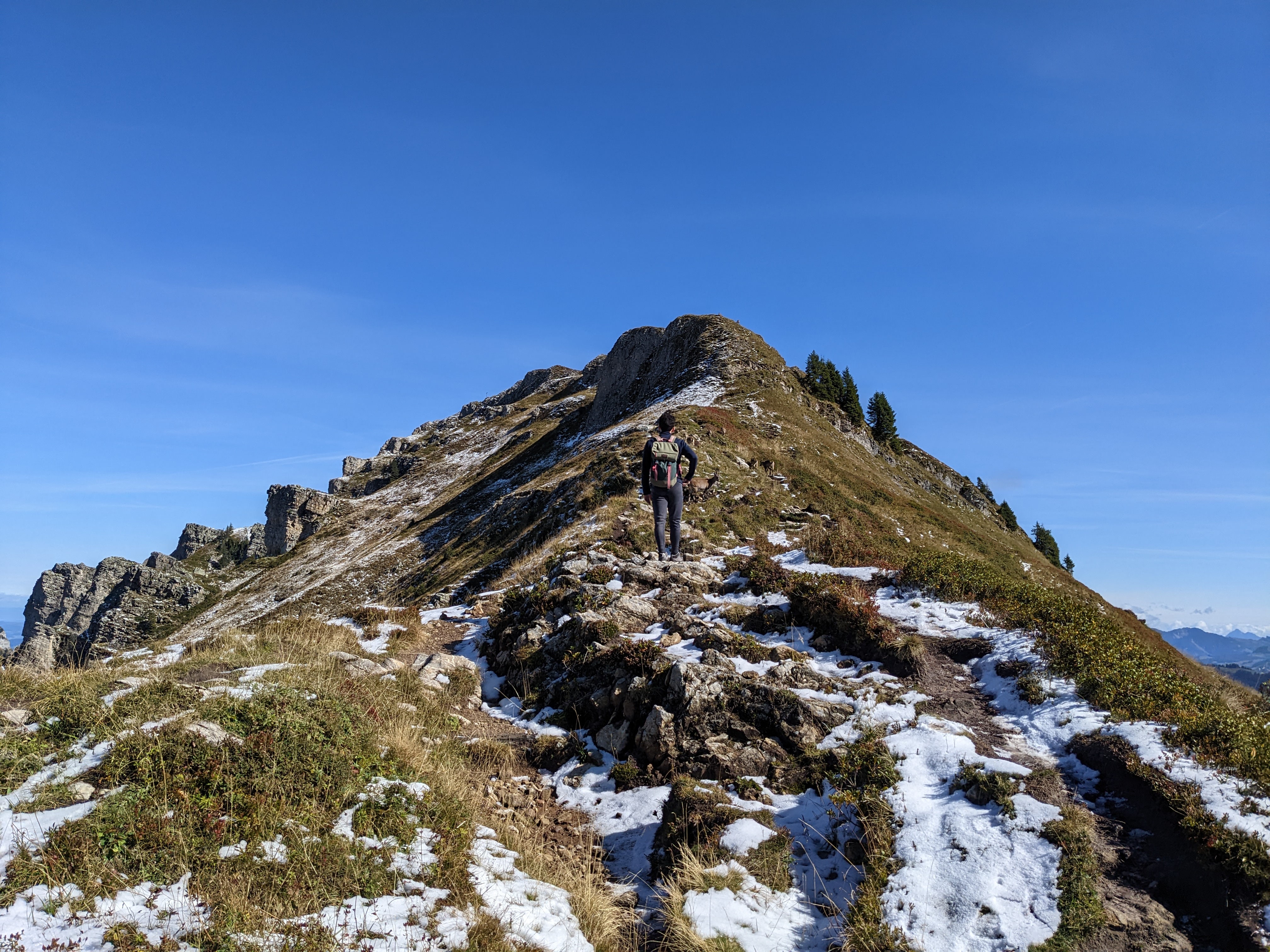 Summer Retreat 2022 Retrospective